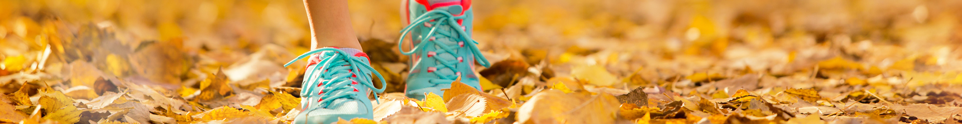 Anne McNamara, DPM - Plymouth, NH